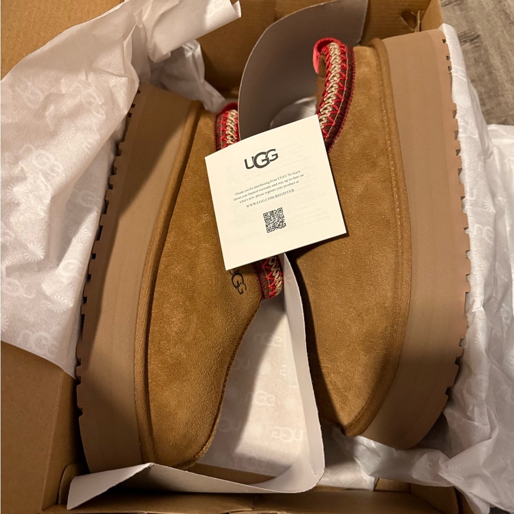 UGG TAZZ in Chestnut
